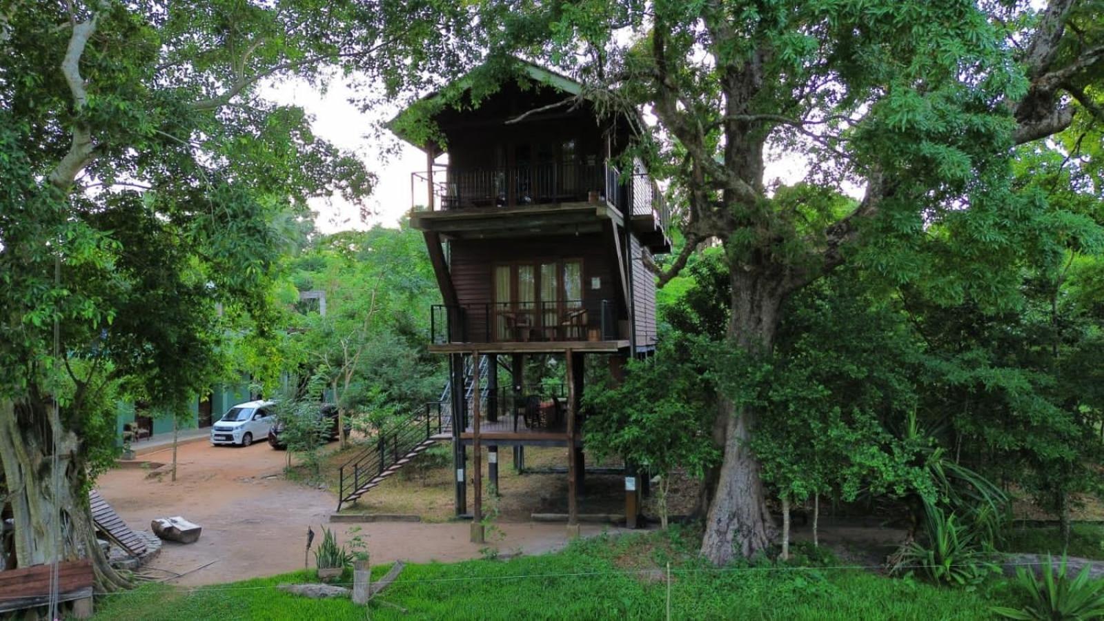 Bed and Breakfast Wilpattu Tree House Nochchiyagama Zewnętrze zdjęcie